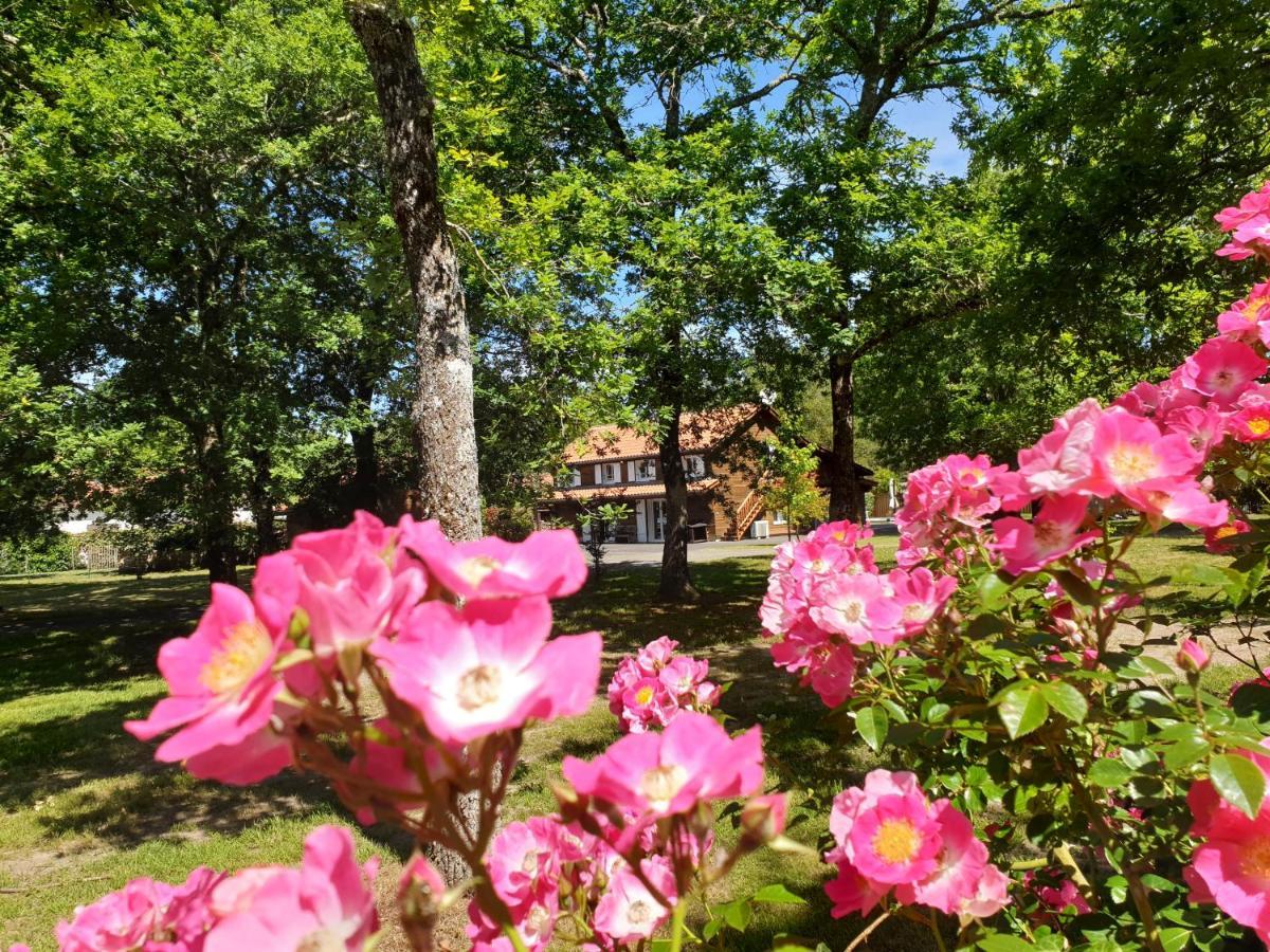 La Grange Du Born Bed and Breakfast Sainte-Eulalie-en-Born Εξωτερικό φωτογραφία